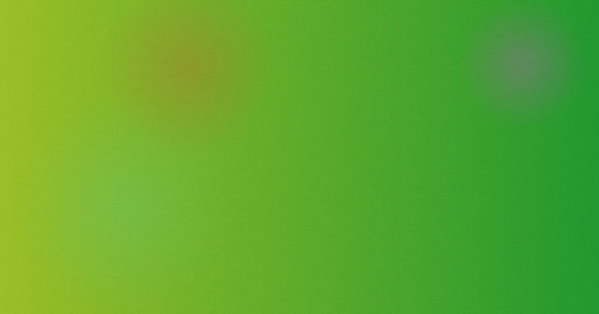花京院攻略：新手这样看